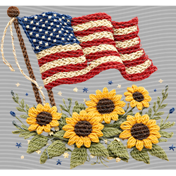 USA-MG 3681